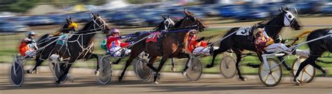 harness racing nz results|Online Harness Horse Racing Betting Sites .